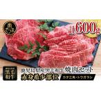 ショッピングふるさと納税 肉 ふるさと納税 【鹿児島県産】黒毛和牛 焼肉用 計600g 赤身希少部位2種セット 数量限定 国産 肉 牛肉 希少部位 焼肉 BBQ 小分け セット 食.. 鹿児島県南さつま市