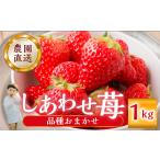 品種おまかせ いちご 1kg
