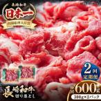 長崎和牛 切り落とし 600g