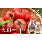 ふるさと納税 《先行予約》 訳アリ 大玉トマト 麗月 1kg ≪有機JAS認証≫ トマト 【61-17】 岐阜県下呂市