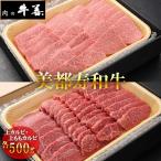 美都寿和牛 サーロイン ステーキ 上カルビ 500g