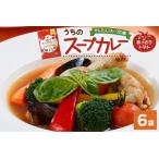 スープカレーの素 うちのスープカレー トマト味 2人前×6袋