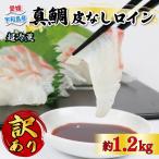 訳あり 真鯛 皮なしロイン 1.2kg