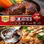 焼肉薩摩のバラエティーセット全6回_肉
