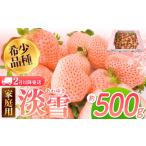 ふるさと納税 【2月以降発送】ご家庭用淡雪 約500g | フルーツ 果物 いちご 淡雪 熊本 玉名 熊本県玉名市