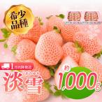 白いちご 淡雪 約1000g