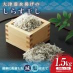大津港水揚げの釜揚げしらす 1.5kg
