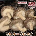 もちもち菌床生しいたけ おまかせBOX 800g