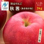 りんご 羽山のりんご 秋茜L~2Lサイズ3kg