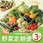 セット 詰合せ 10種類の新鮮野菜 定期便