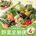 セット 詰合せ 10種類の新鮮野菜 定期便