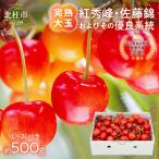 さくらんぼ 2027年 L~2Lバラ約500g