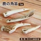 鹿の角 角笛 1個