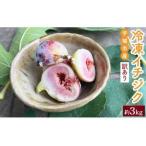 いちじく 訳あり 冷凍 イチジク 約3kg