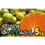ちっちゃな 有田みかん こつぶみかん 5kg