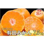 有田 みかん 大玉3L以上 7.5kg