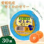 みかん 愛媛 せとかのゼリー 30個