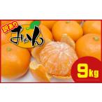 ふるさと納税 ≪訳あり≫ 熊本県産 温州みかん 約 9kg ＋約 0.5kg (補償分） | 果物 フルーツ くだもの みかん ミカン 蜜柑 玉名 熊本 熊本県玉名市