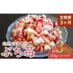 ふるさと納税 いちご 【3ヶ月定期便】 冷凍いちご 1kg (500g×2パック) 【定期便3ヶ月】完熟冷凍いちご「ぷち苺」1kg 500g×2パック 園.. 熊本県宇城市