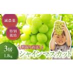 ふるさと納税 特別栽培 減農薬 シャインマスカット 1.8kg 3房 山梨シャインマスカット 山梨県甲斐市