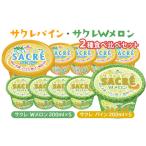 サクレパイン サクレWメロン2種食べ比べセット