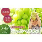 ふるさと納税 【2025年発送】特別栽培 減農薬 大粒 シャインマスカット 約2.7kg 先行予約 産地直送 フルーツ 果物 ぶどう 葡萄 人気シャインマス.. 山梨県甲斐市