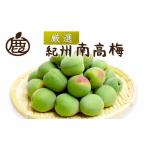 紀州南高梅 青梅 10kg+250g 傷み補償分