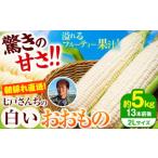 朝採れ とうもろこし おおもの約5kg