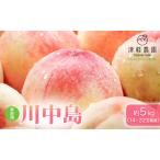 ふるさと納税 【 2025年産 桃の王様 川中島】家庭用 約 5kg 14〜22玉程度 ASIAGAP認証農場 津軽農園 採れたて 農家直送 青森県弘前市