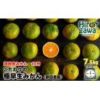 極早生 みかん 7.5kg