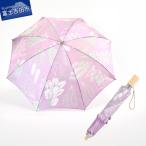 晴雨兼用折りたたみ傘 harefune