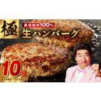 ふるさと納税 【黒毛牛肉100%】極み ハンバーグ 180g×10P BIGサイズ【ハンバーグ 牛肉 ハンバーグ 黒毛和牛 100%  ハンバーグ 極み ハン.. 大阪府泉佐野市