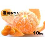 温州みかん 約10kg