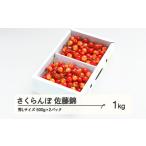 ふるさと納税 《先行予約》 さくらんぼ 佐藤錦 秀Lサイズ プレゼント ギフト バラ詰め 1kg(500g×2パック) 2026年産 令和8年産 山形県産 ns-.. 山形県山辺町