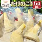 薪で炊いた柔らか仕立てのたけのこ水煮