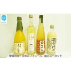 果実系リキュール 飲み比べセット 720ml×1本