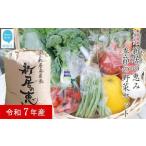 白米 精米 新居の恵み ヒノヒカリ 令和7年産 5kg