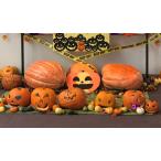 fu.... налог Halloween тыква (C24) Hokkaido .. блок 