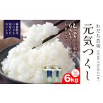 元気つくし 6kg