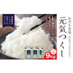 元気つくし 9kg