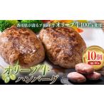 極上オリーブ牛100%使用ハンバーグ
