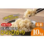 ふるさと納税 玄米 7年産 ひのひかり 10kg 太陽の恵み 米《10月下旬頃出荷》 岡山県笠岡市