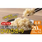 ふるさと納税 玄米 7年産 ひのひかり 20kg 太陽の恵み 米《10月下旬頃出荷》 岡山県笠岡市