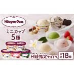 ふるさと納税 【着日指定できます!!】ハーゲンダッツ『定番ミニカップ5種セット(合計18個)』アイスクリーム アイス スイーツ デザート アイスク.. 北海道浜中町
