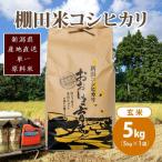 特別栽培米 コシヒカリ 玄米 5kg