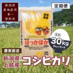 極上の雪国米 コシヒカリ 玄米 5kg