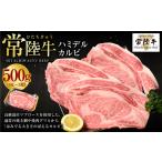 ふるさと納税 【年内発送 12/17迄受付】【常陸牛】ハミデルカルビ500g（3〜5枚）（茨城県共通返礼品 茨城県産） 茨城県守谷市