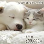 犬猫保護活動への支援 30万円