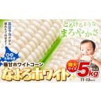ふるさと納税  「 なよろホワイト 」 5kg 以上 11〜13本 とうもろこし  北海道名寄市