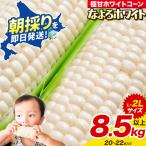 とうもろこし なよろ ホワイト 8.5kg